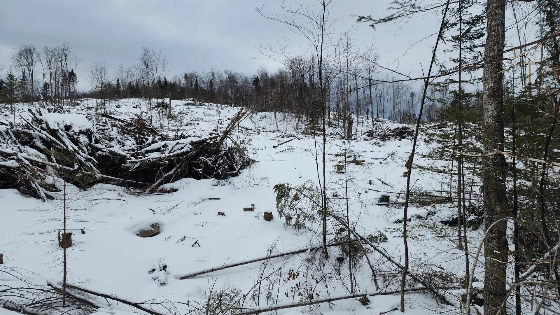 200a Berlin Road Errol NH 03579