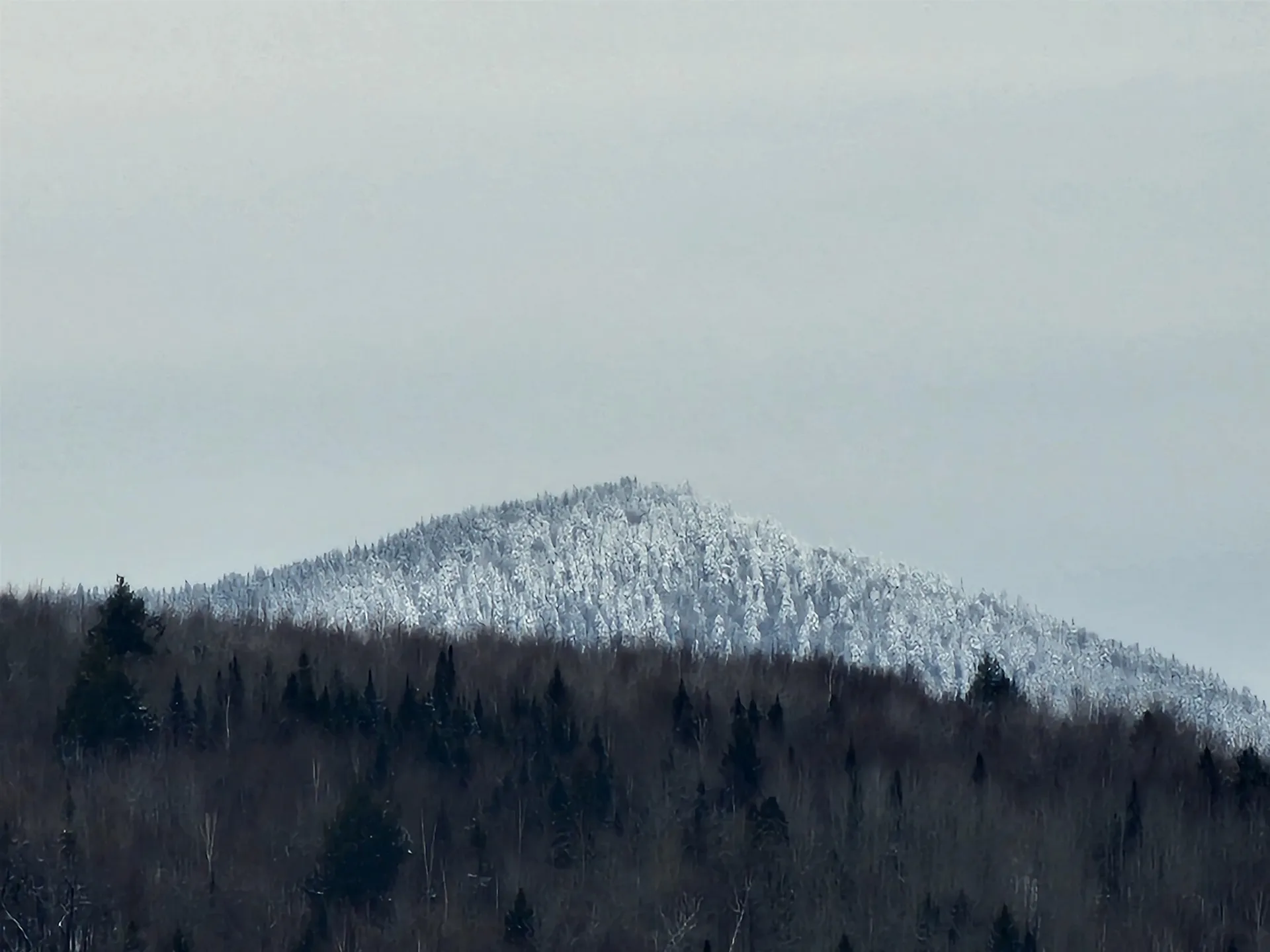 200a Berlin Road Errol NH 03579