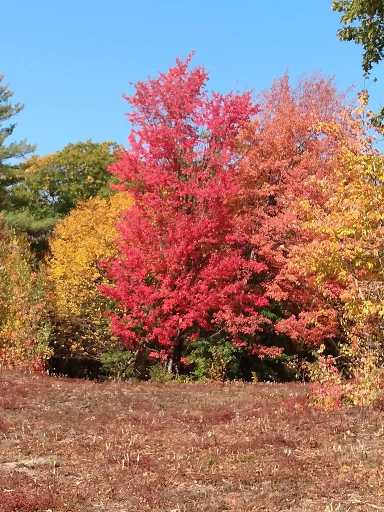 000 Thistle Road Gilmanton NH 03237