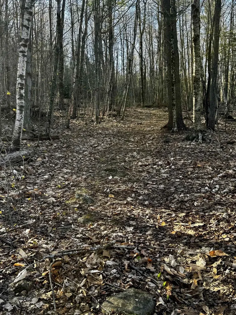 000 Thistle Road Gilmanton NH 03237