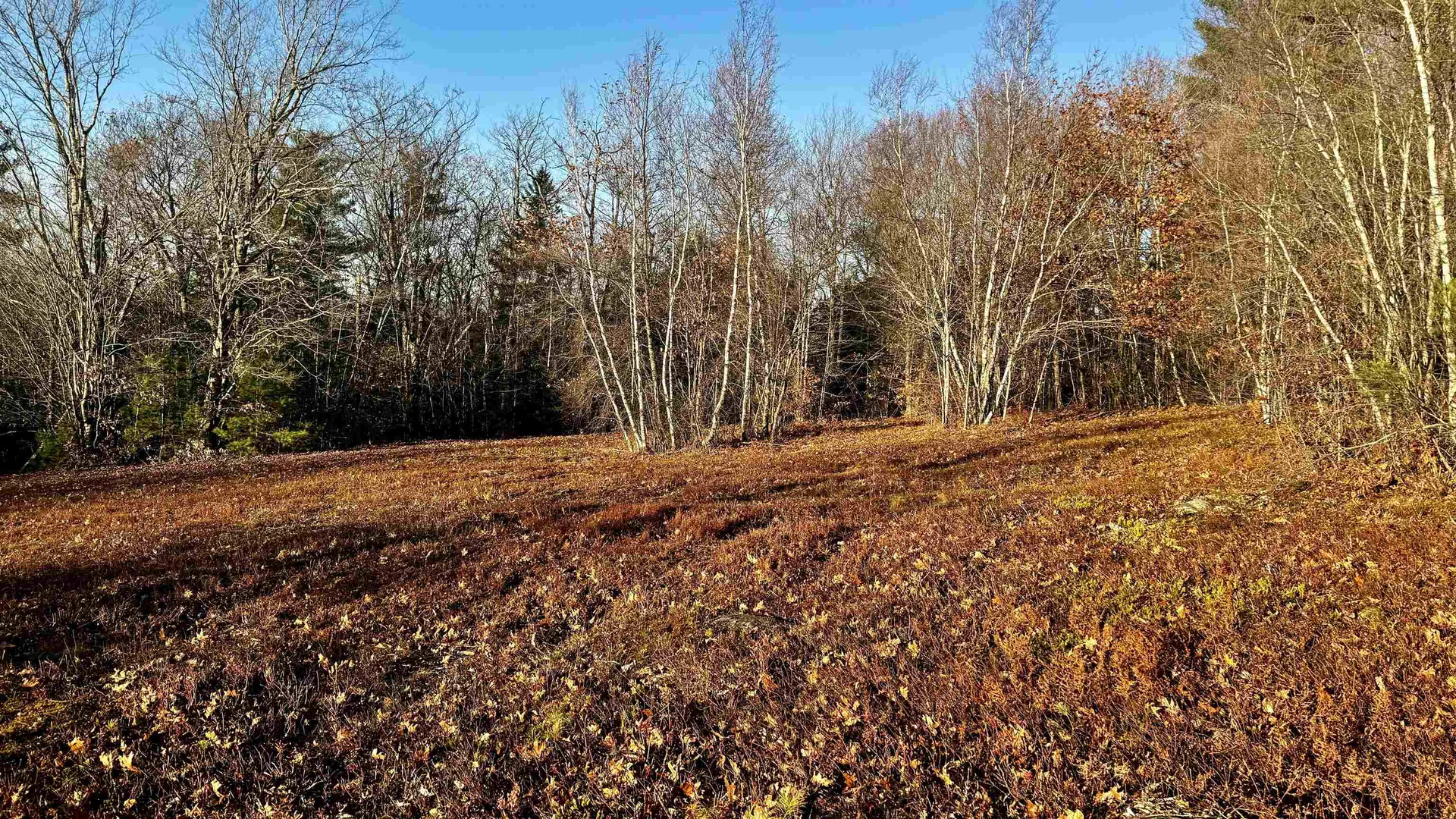 000 Thistle Road Gilmanton NH 03237