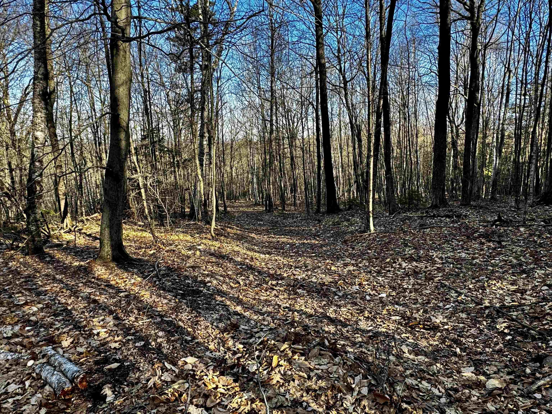 000 Thistle Road Gilmanton NH 03237