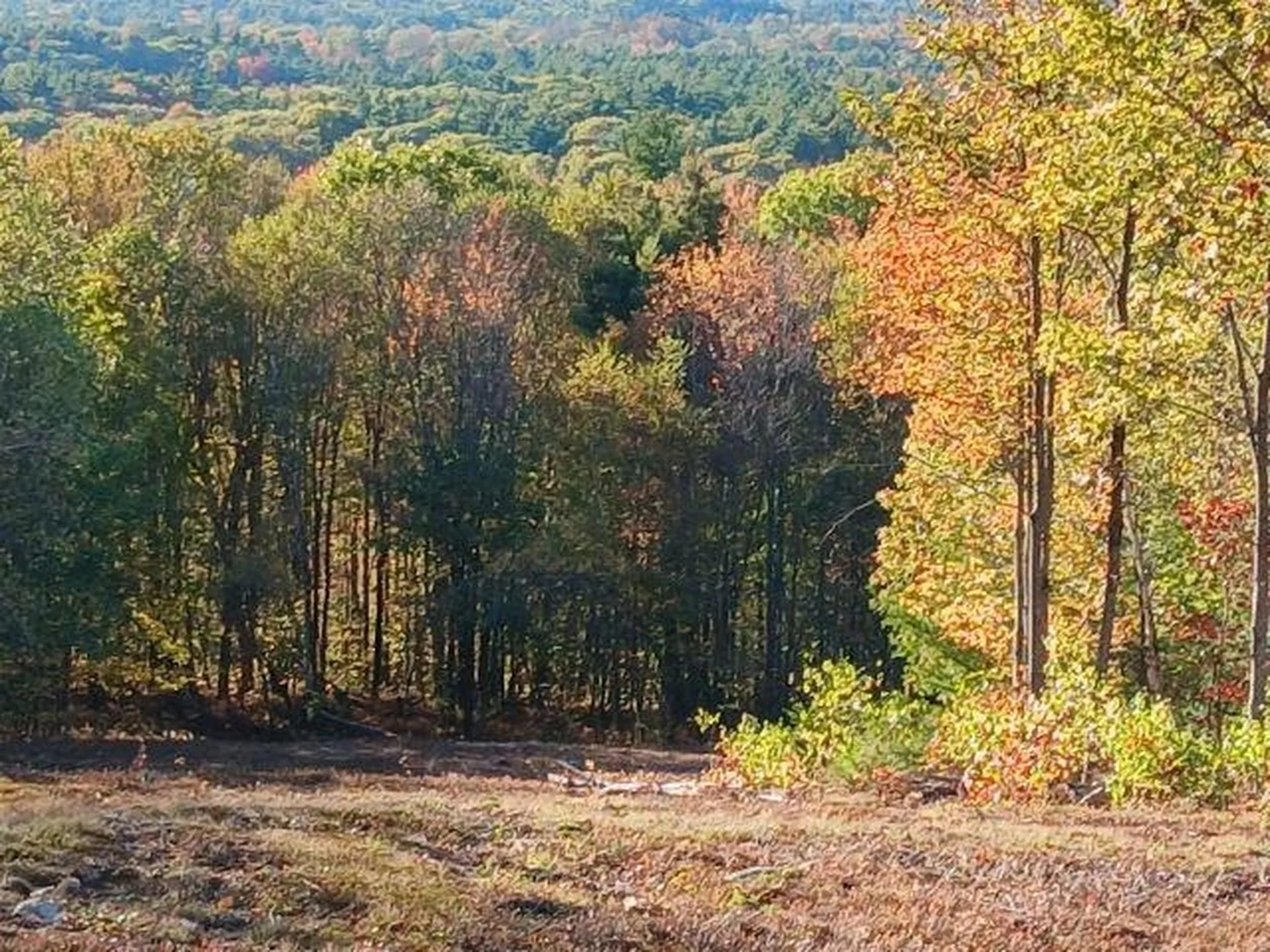 000 Thistle Road Gilmanton NH 03237