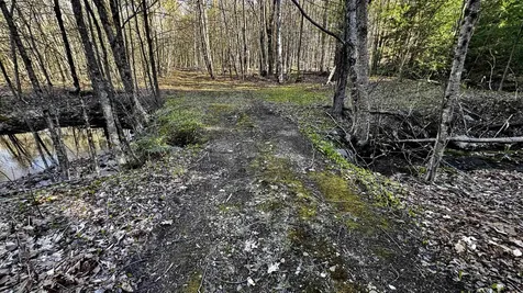 000 Thistle Road Gilmanton NH 03237