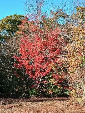 000 Thistle Road Gilmanton NH 03237