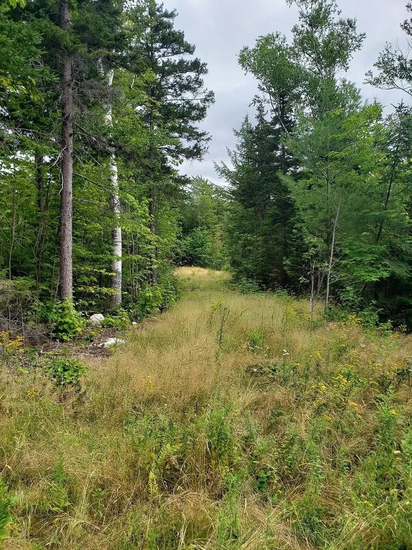 7 Powder Hill Drive Franconia NH 03580