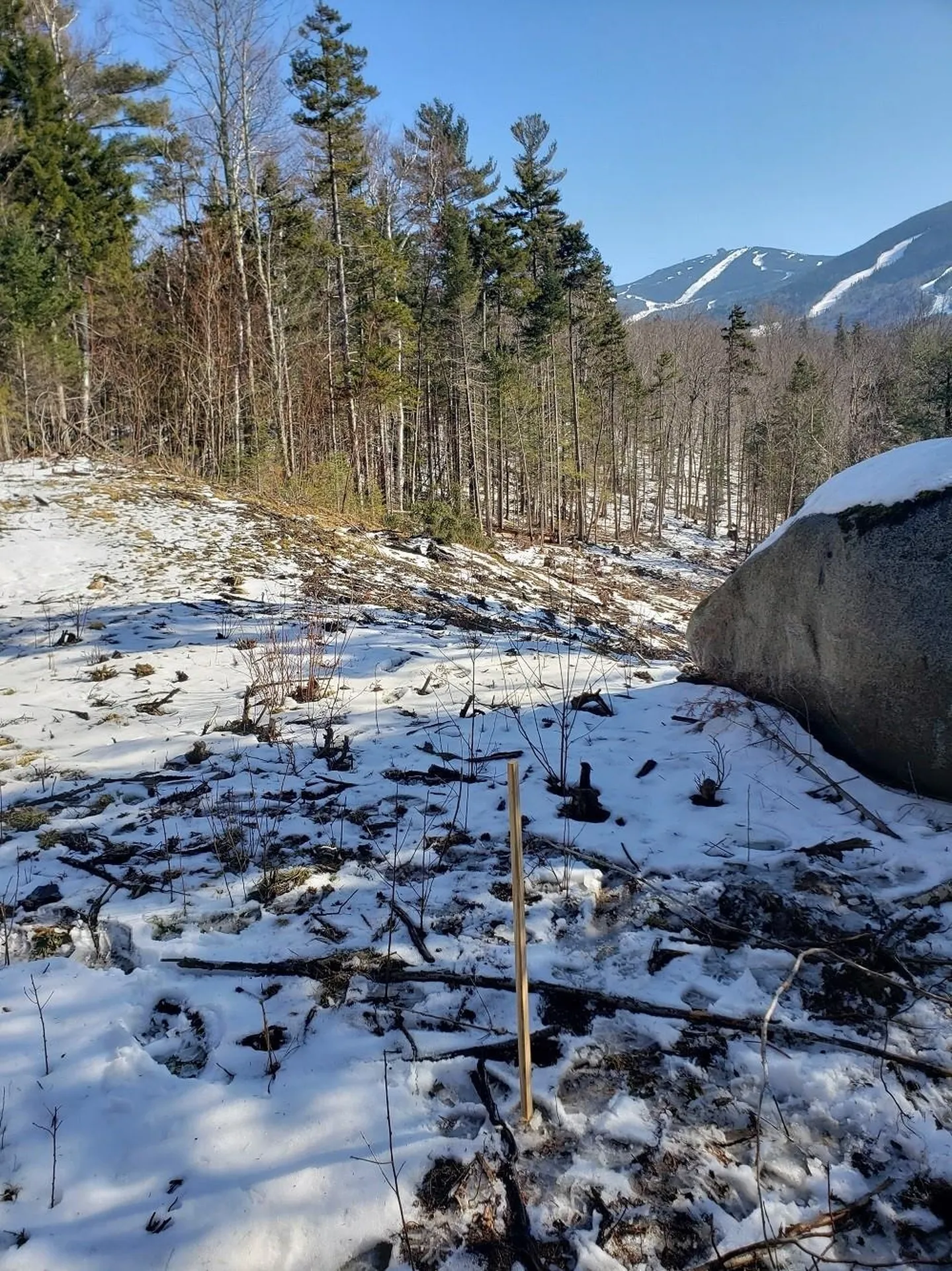 7 Powder Hill Drive Franconia NH 03580