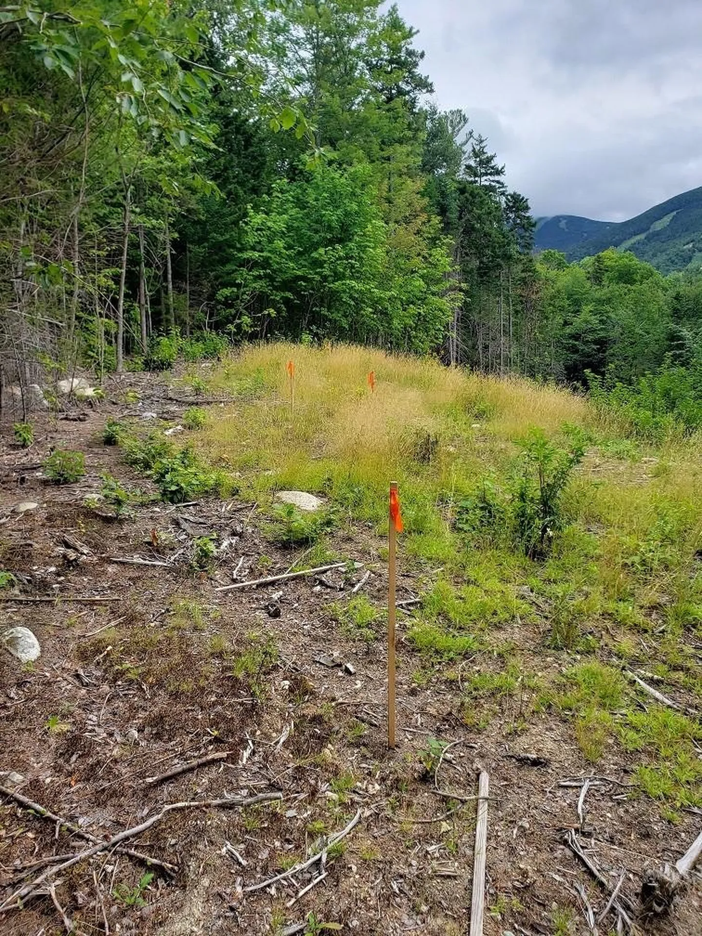 7 Powder Hill Drive Franconia NH 03580