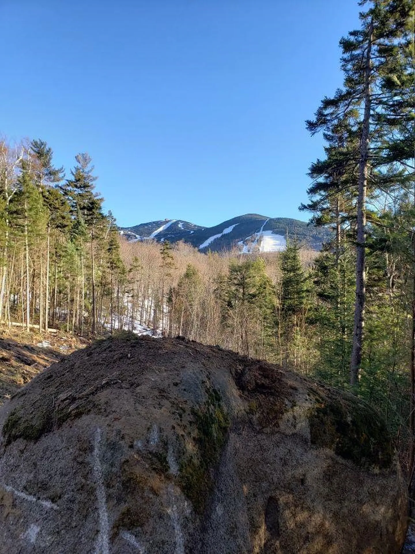 7 Powder Hill Drive Franconia NH 03580