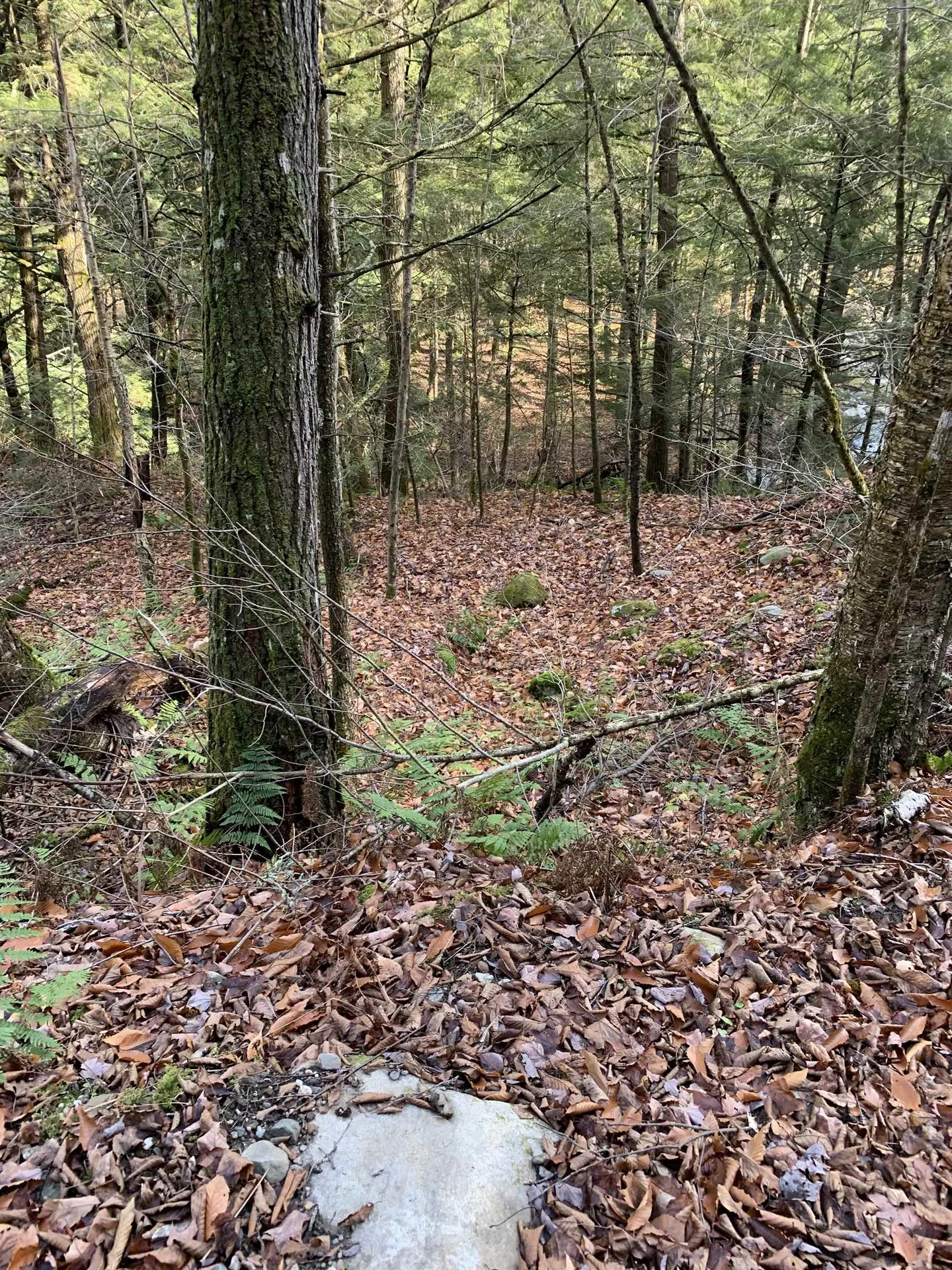 789 Brook Street Richford VT 05476