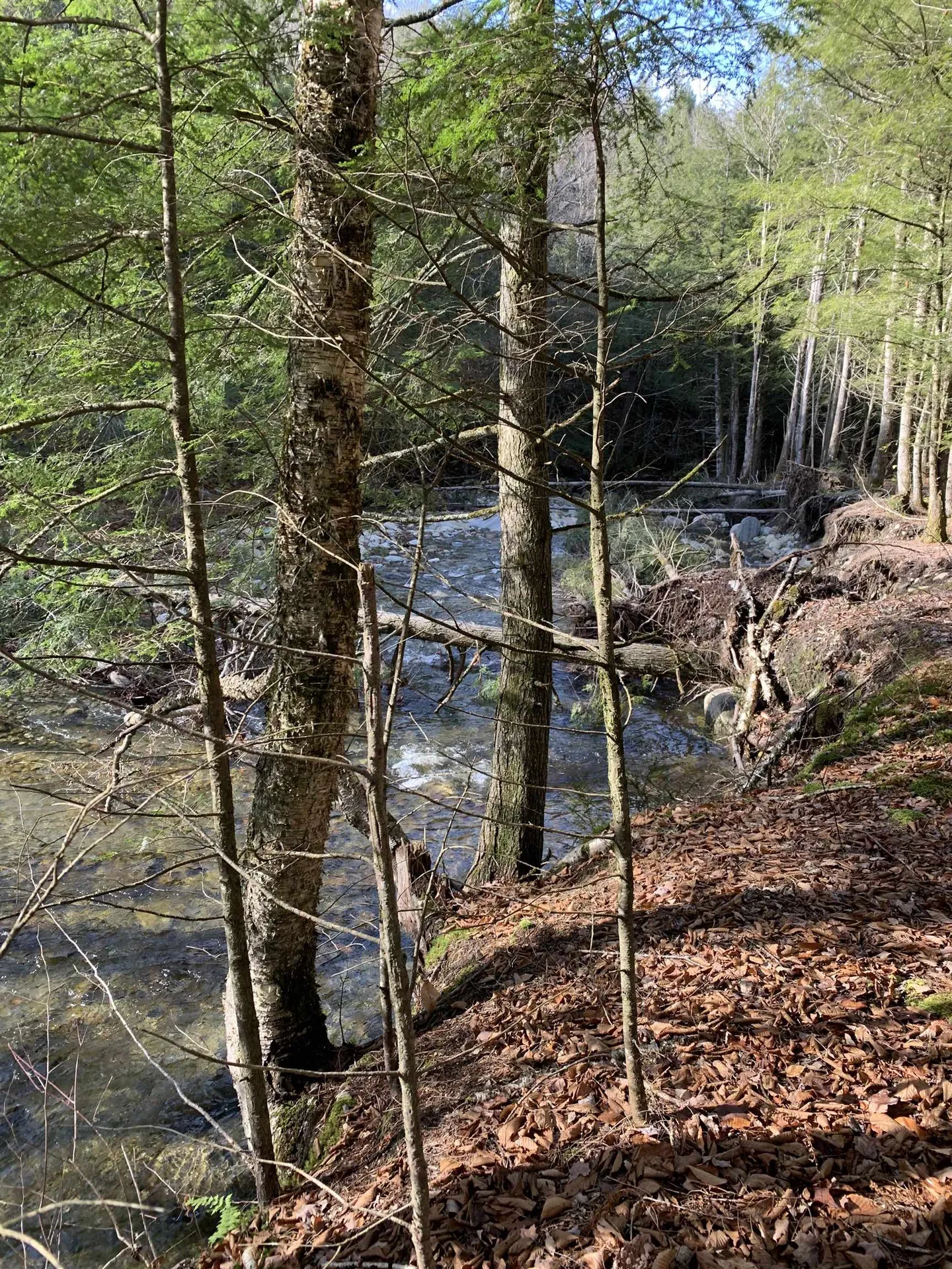 789 Brook Street Richford VT 05476