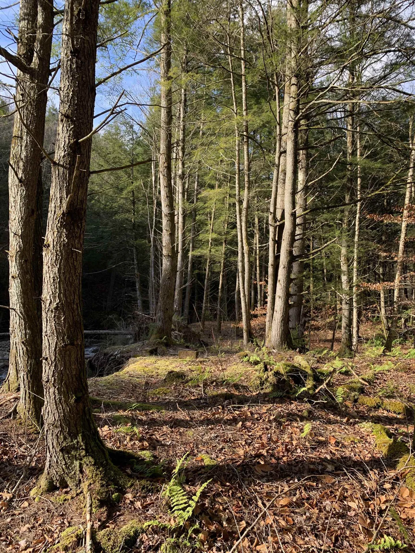 789 Brook Street Richford VT 05476