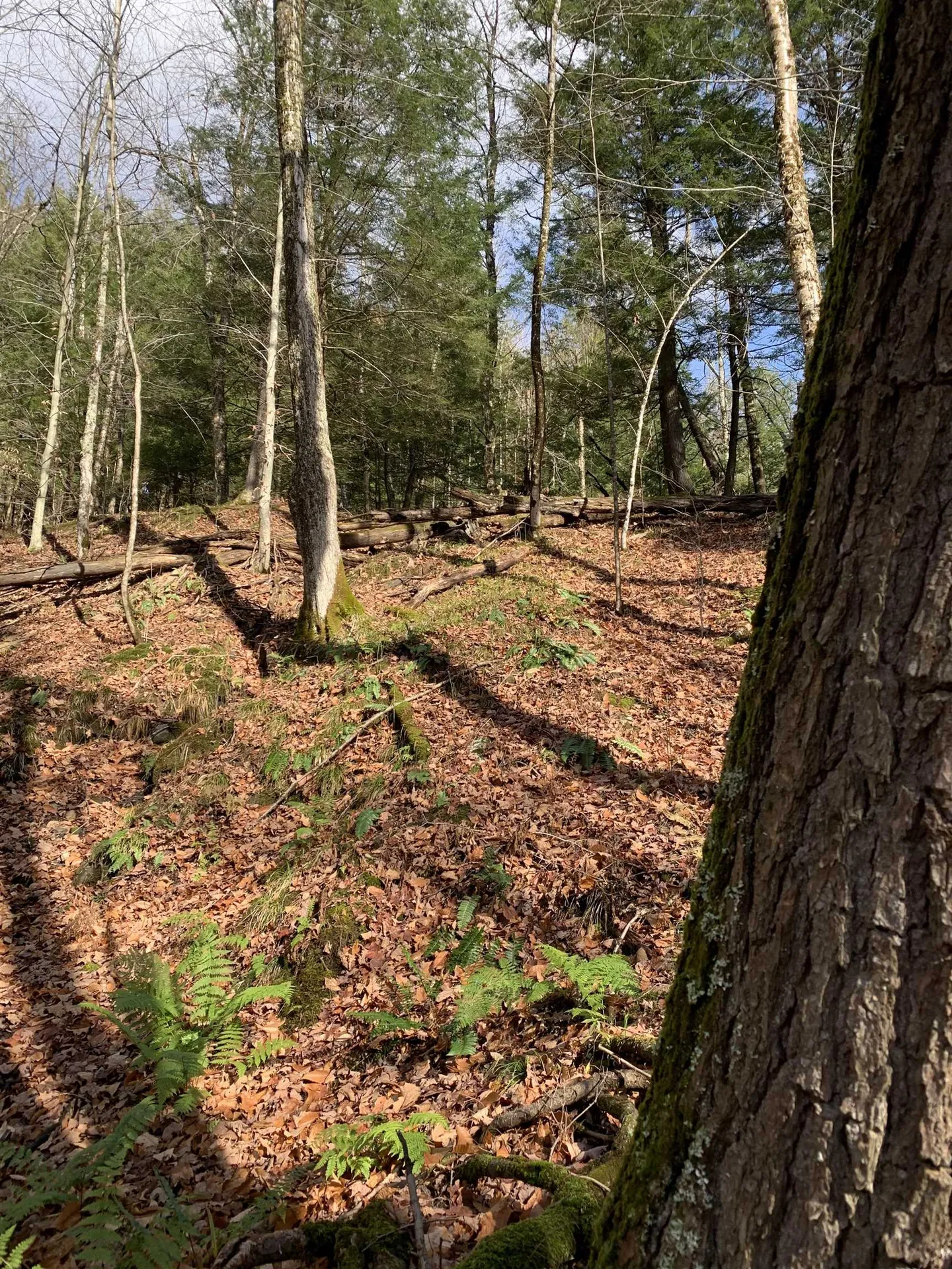 789 Brook Street Richford VT 05476