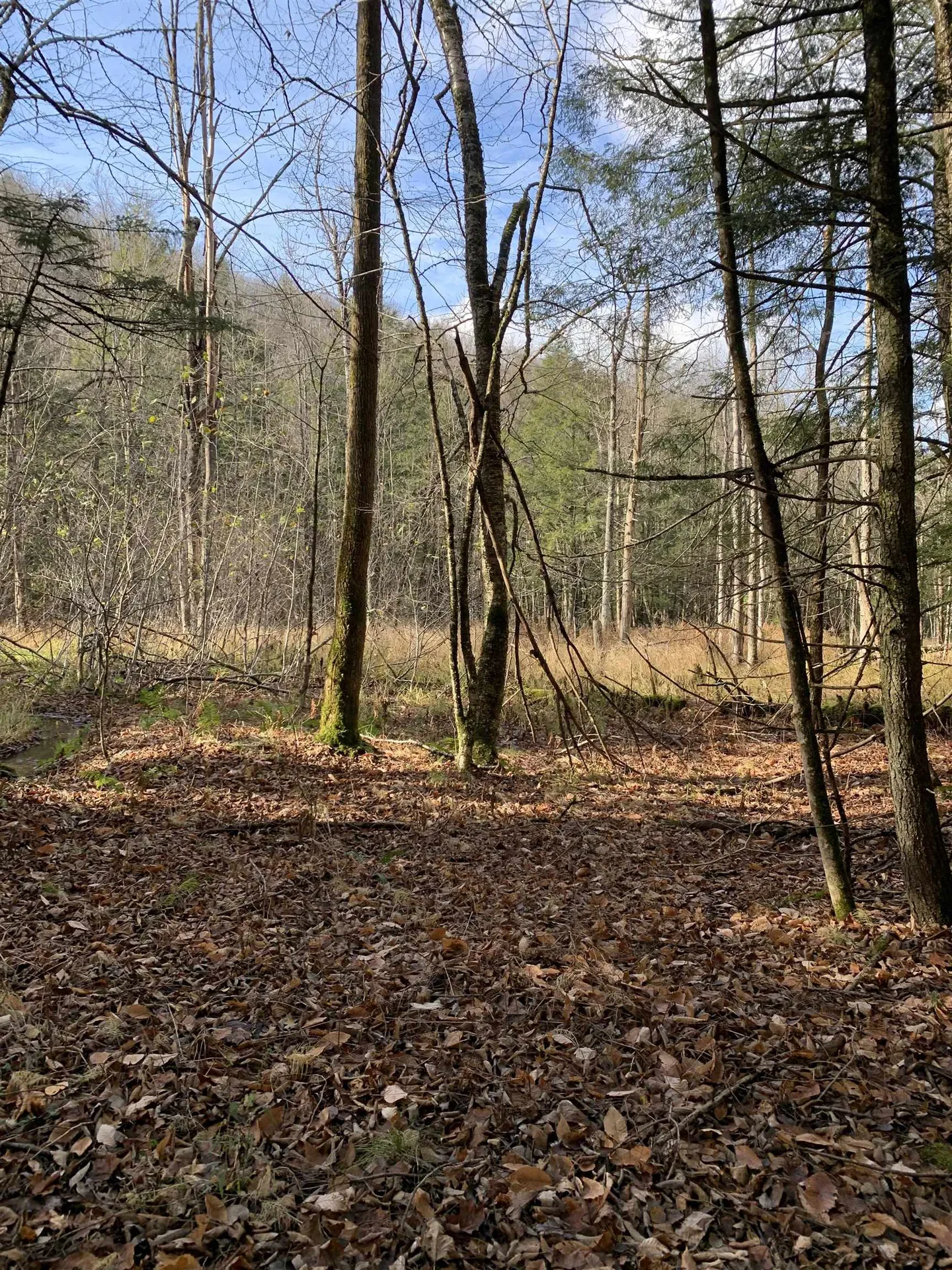 789 Brook Street Richford VT 05476