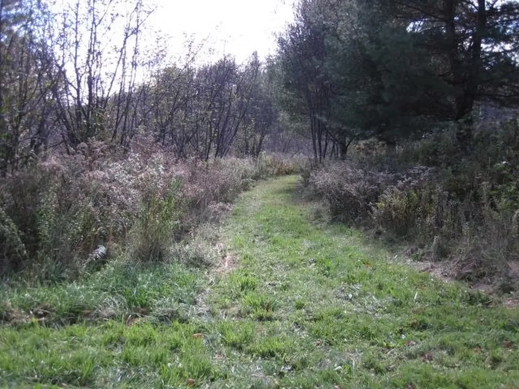 0 Vt Route 14 Woodbury VT 05681