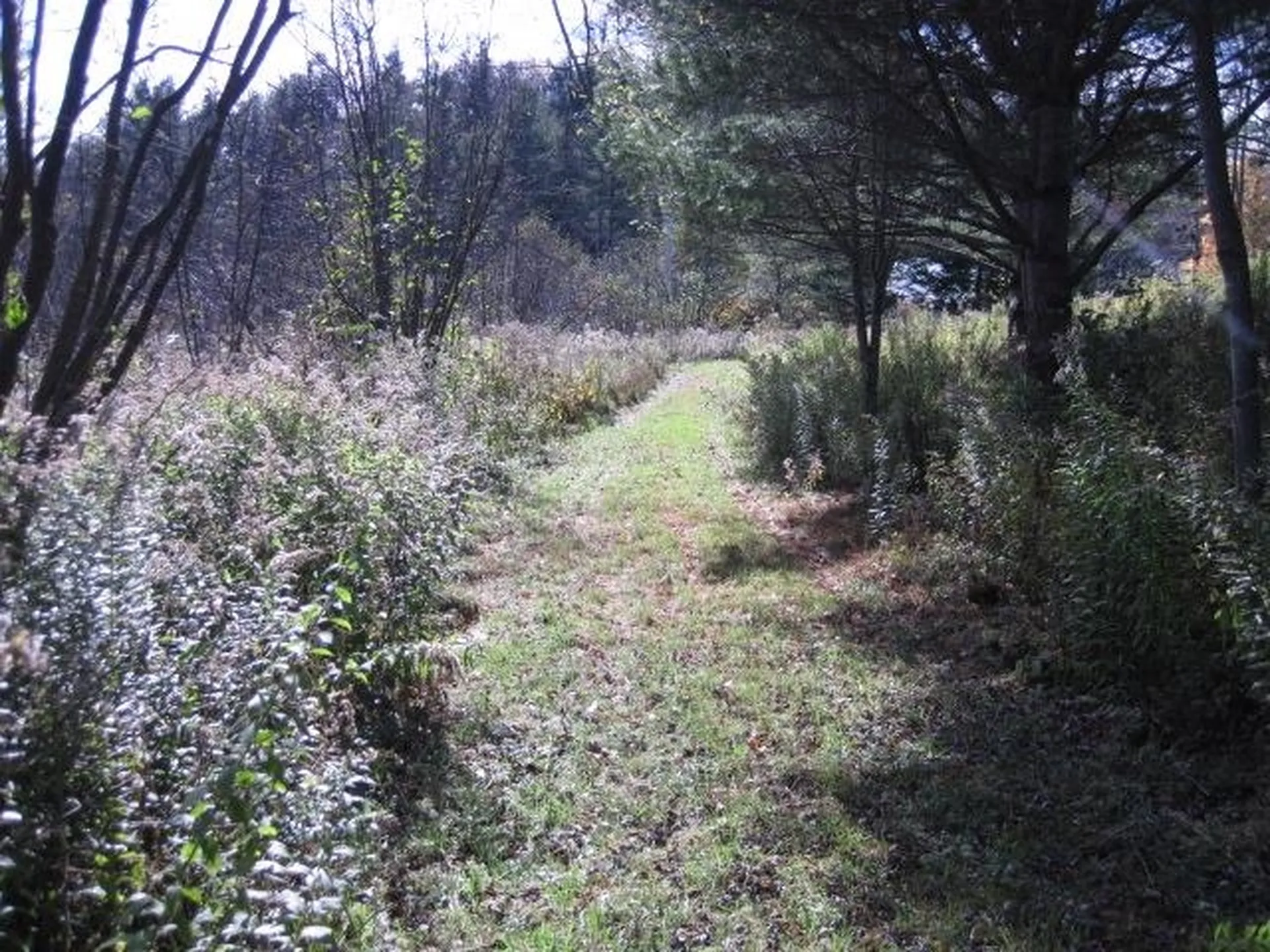 0 Vt Route 14 Woodbury VT 05681