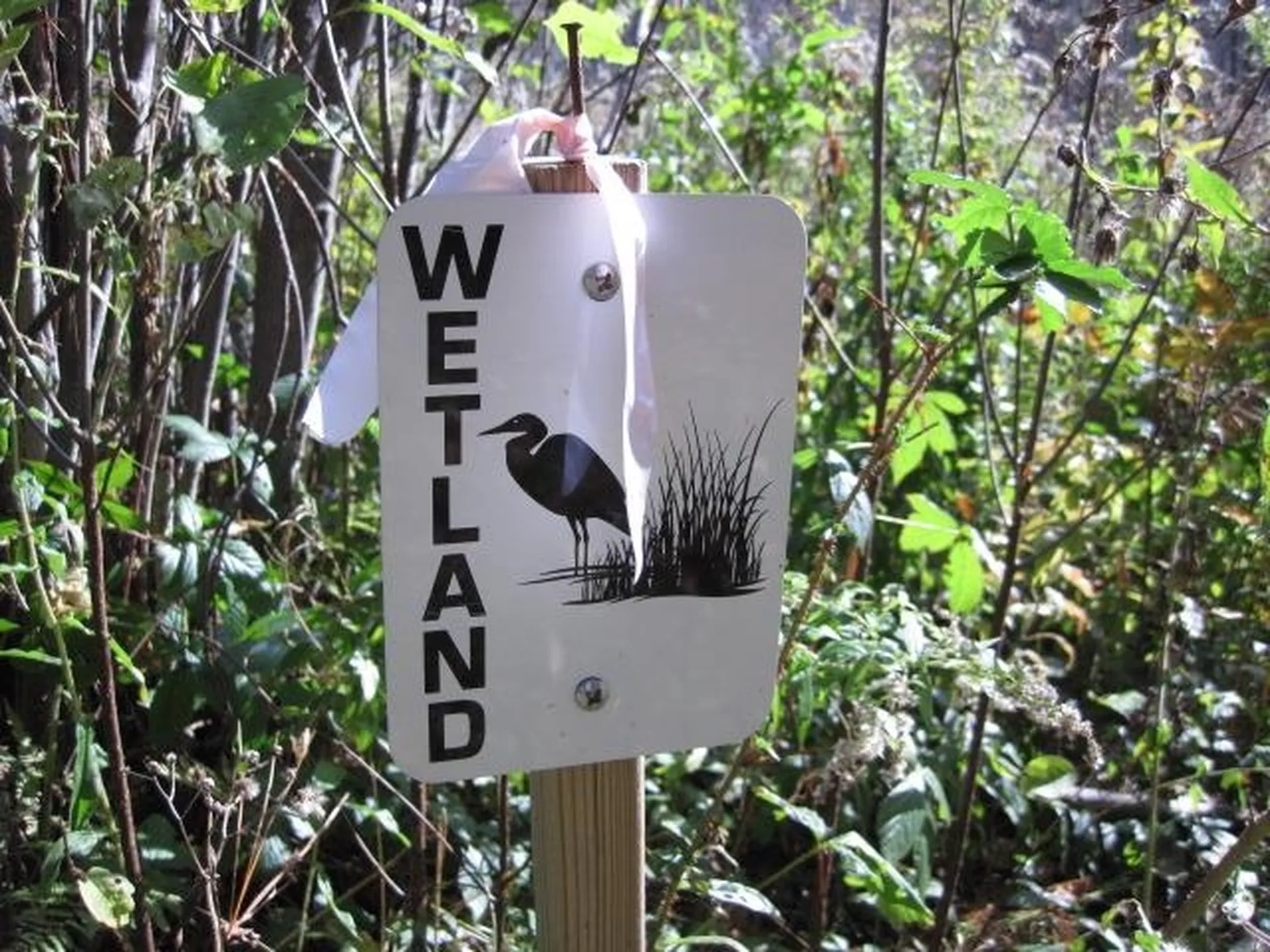 0 Vt Route 14 Woodbury VT 05681