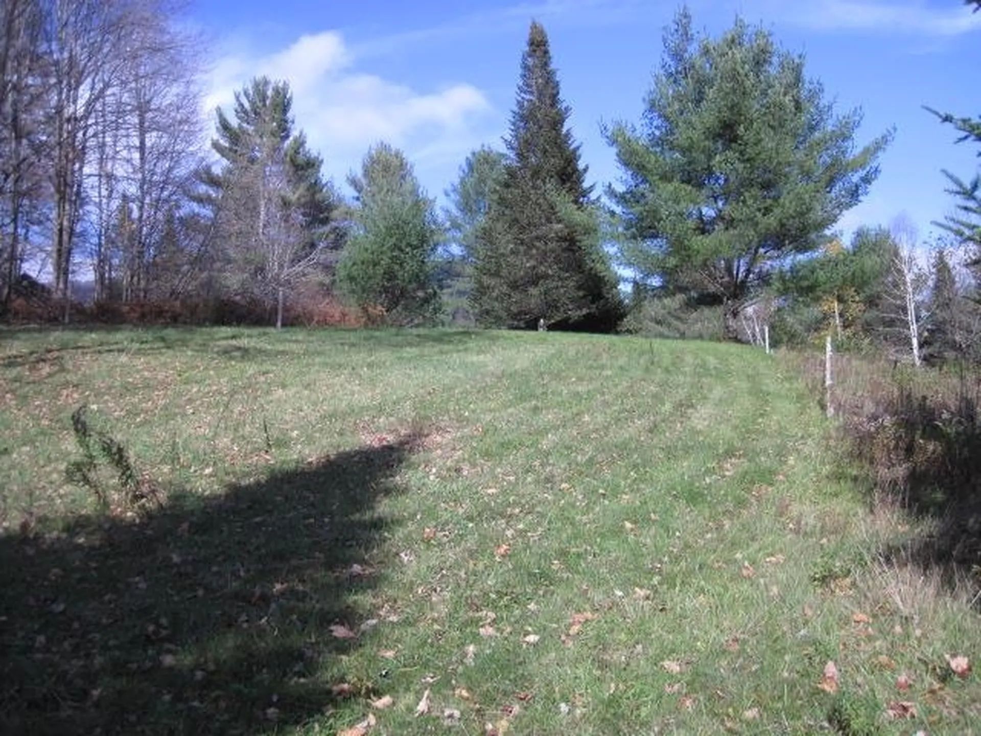 0 Vt Route 14 Woodbury VT 05681