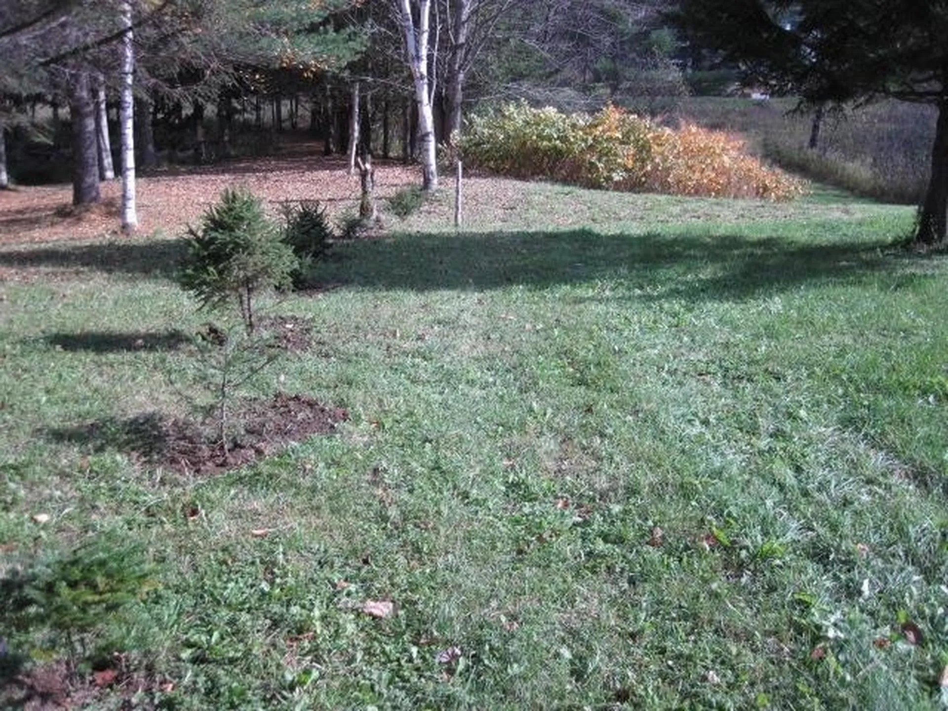 0 Vt Route 14 Woodbury VT 05681