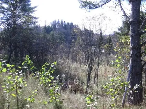 0 Vt Route 14 Woodbury VT 05681