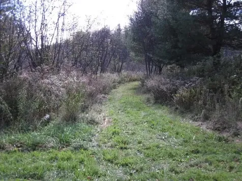 0 Vt Route 14 Woodbury VT 05681