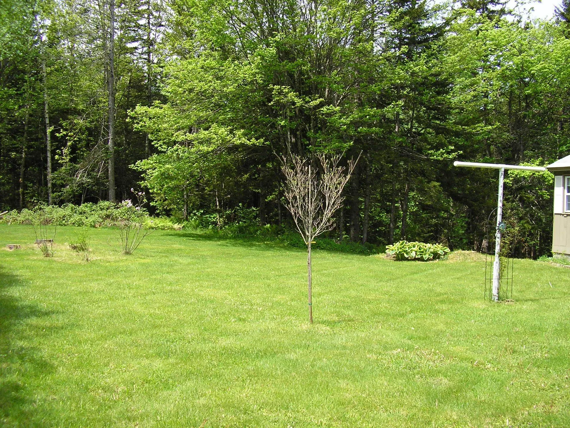 36 Old Town Road Dover VT 05356