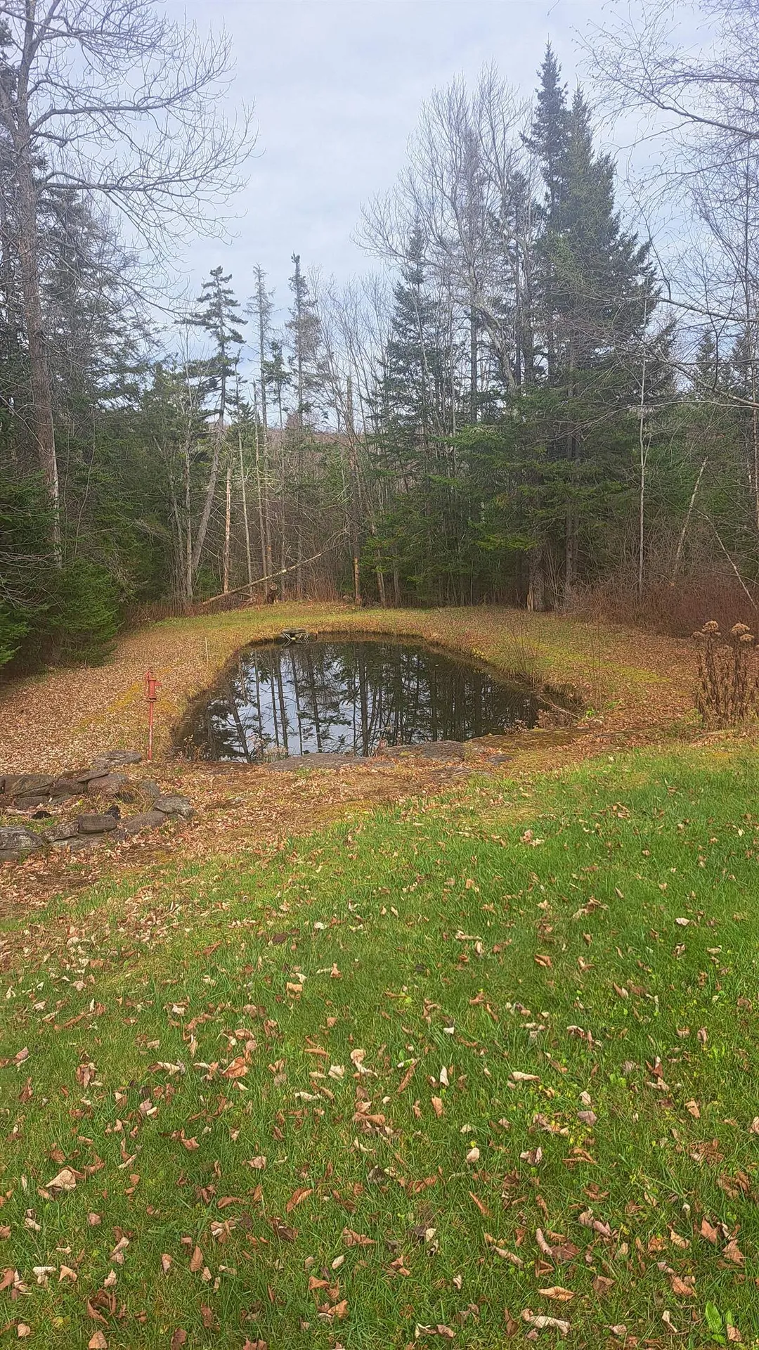 36 Old Town Road Dover VT 05356