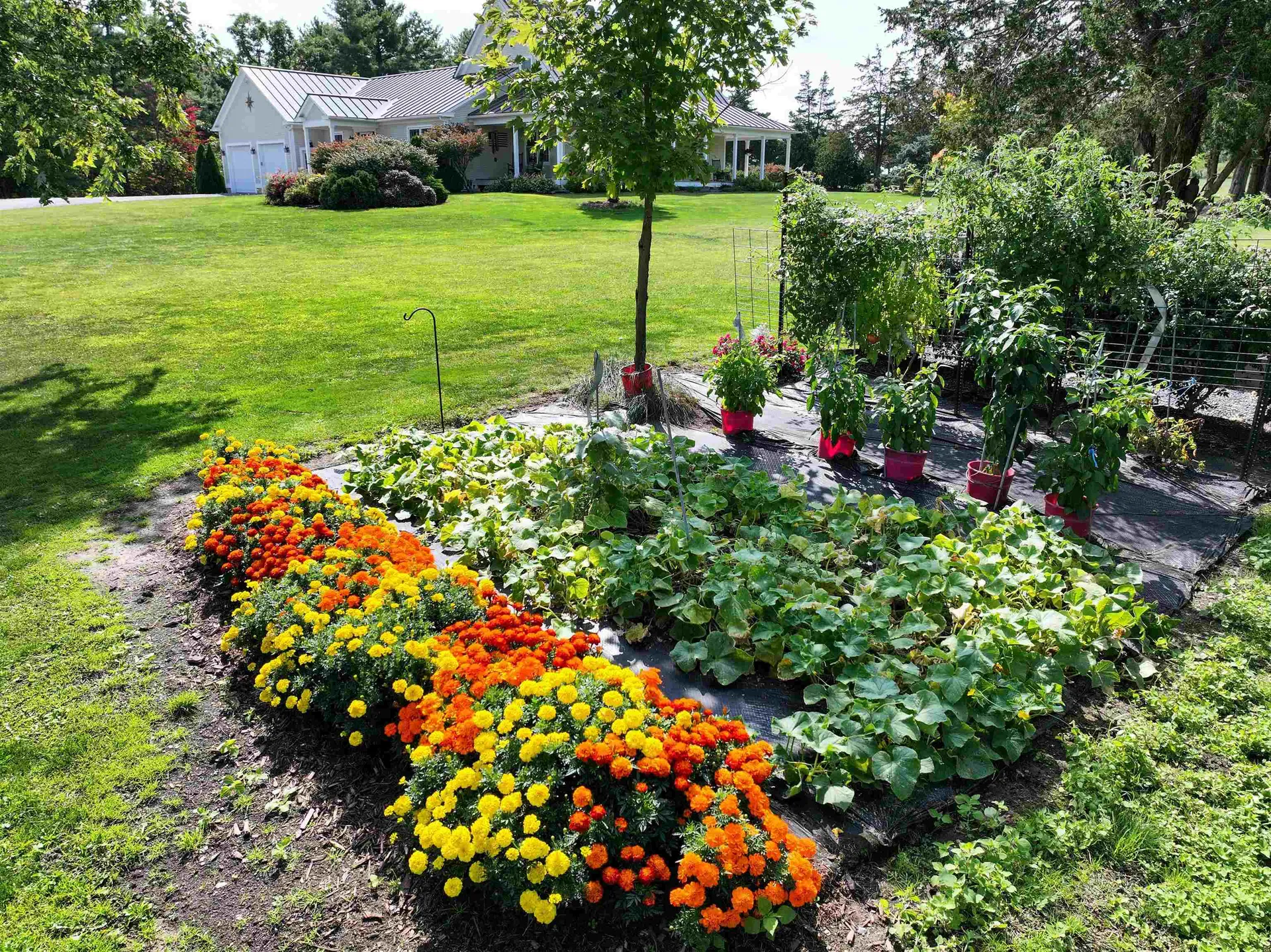 2561 Vt Route 17 Addison VT 05491