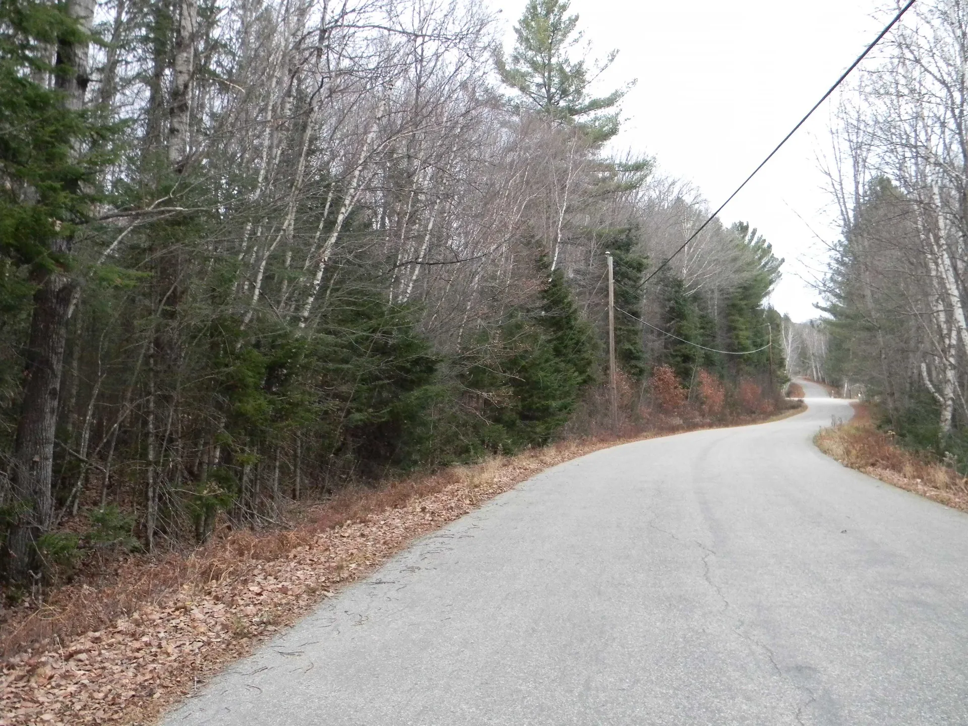 L53 Cloutier Drive Stark NH 03582