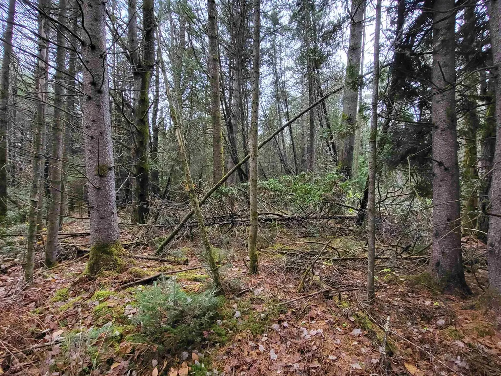 0 East Peacham Road Barnet VT 05821