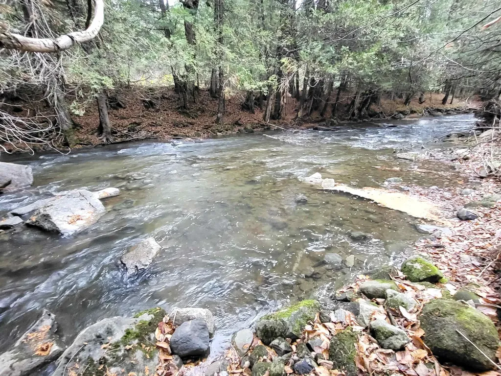 0 East Peacham Road Barnet VT 05821