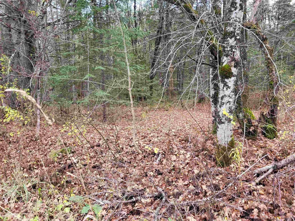 0 East Peacham Road Barnet VT 05821