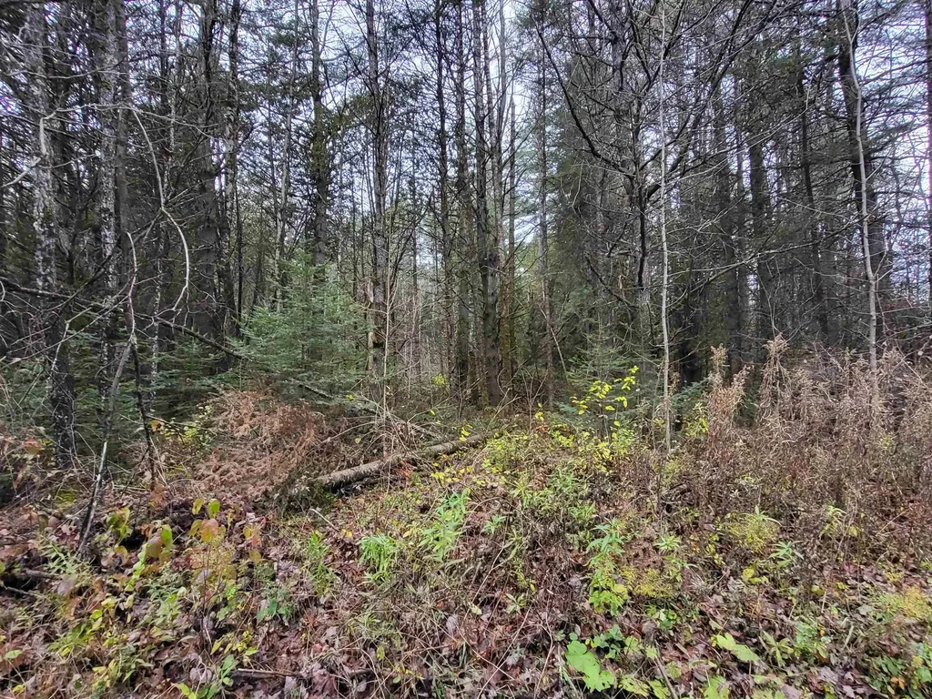 0 East Peacham Road Barnet VT 05821