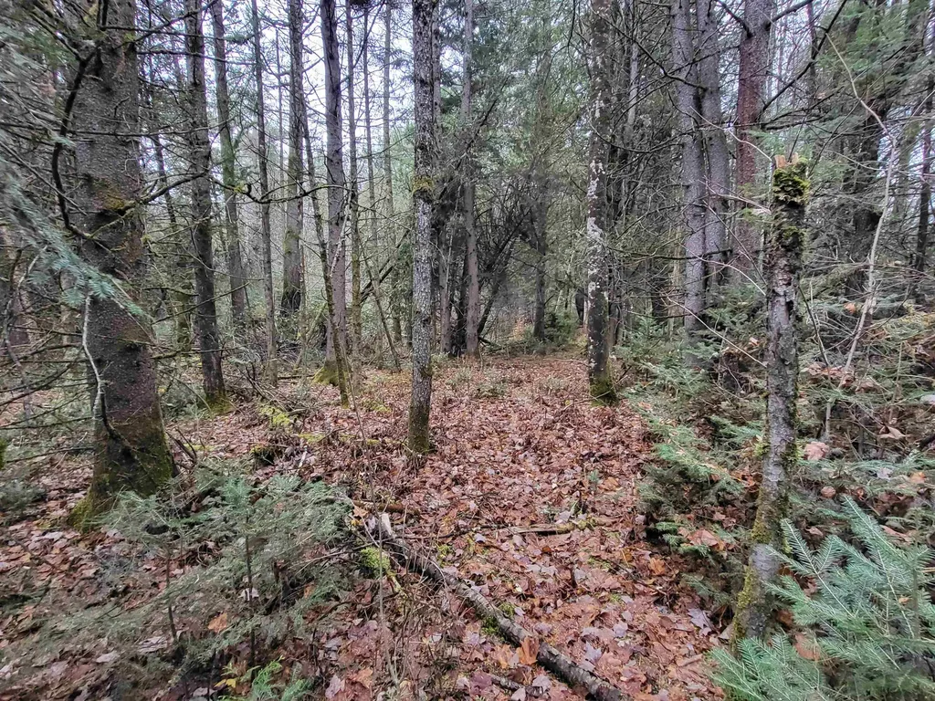 0 East Peacham Road Barnet VT 05821