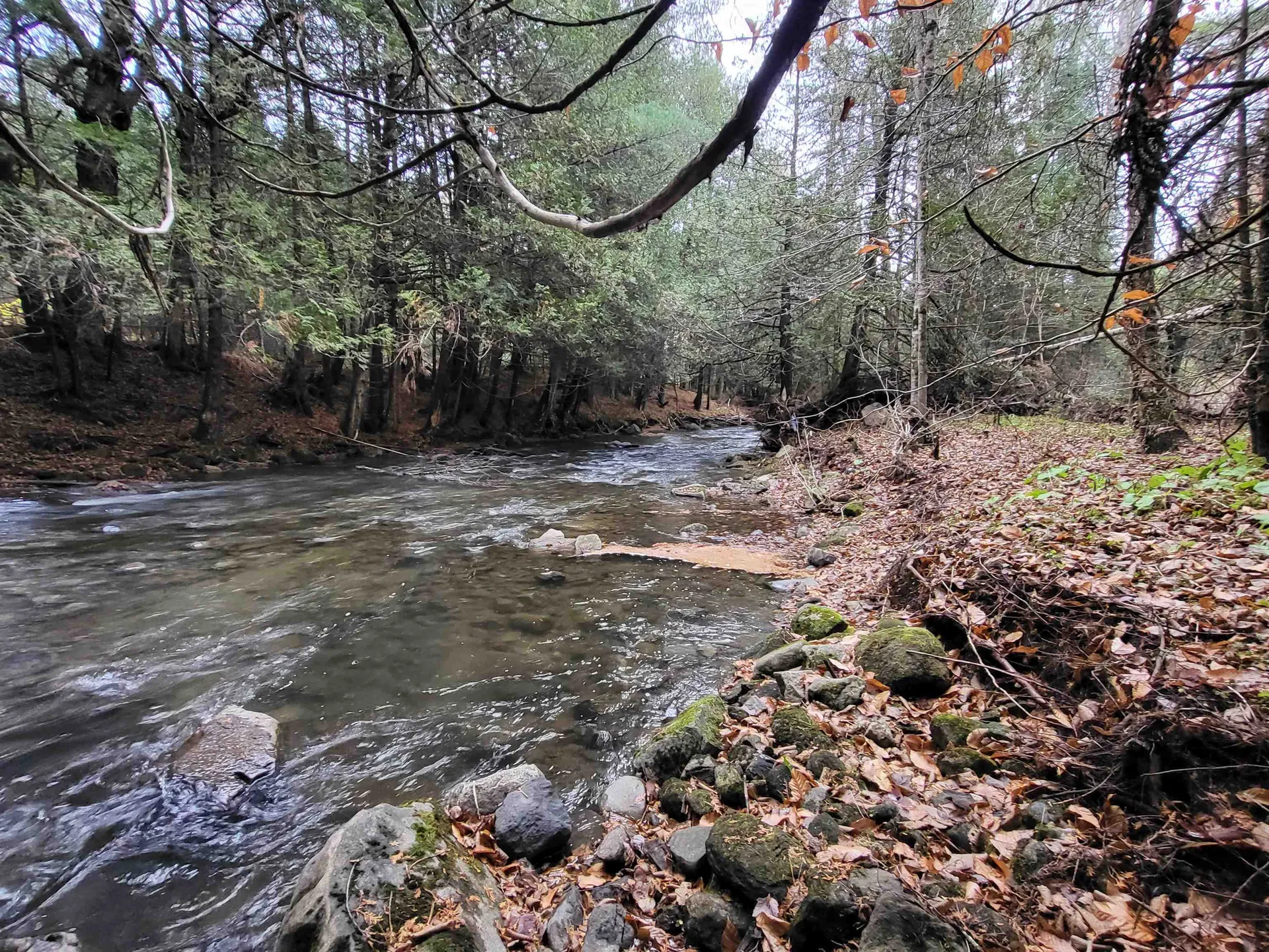 0 East Peacham Road Barnet VT 05821