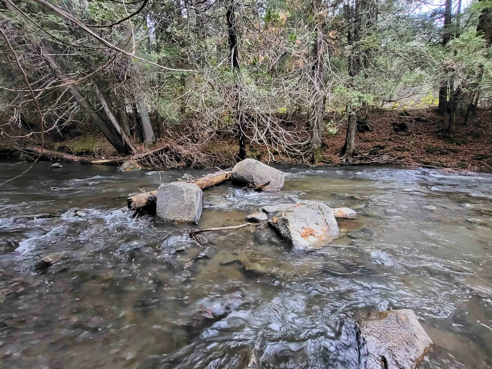 0 East Peacham Road Barnet VT 05821