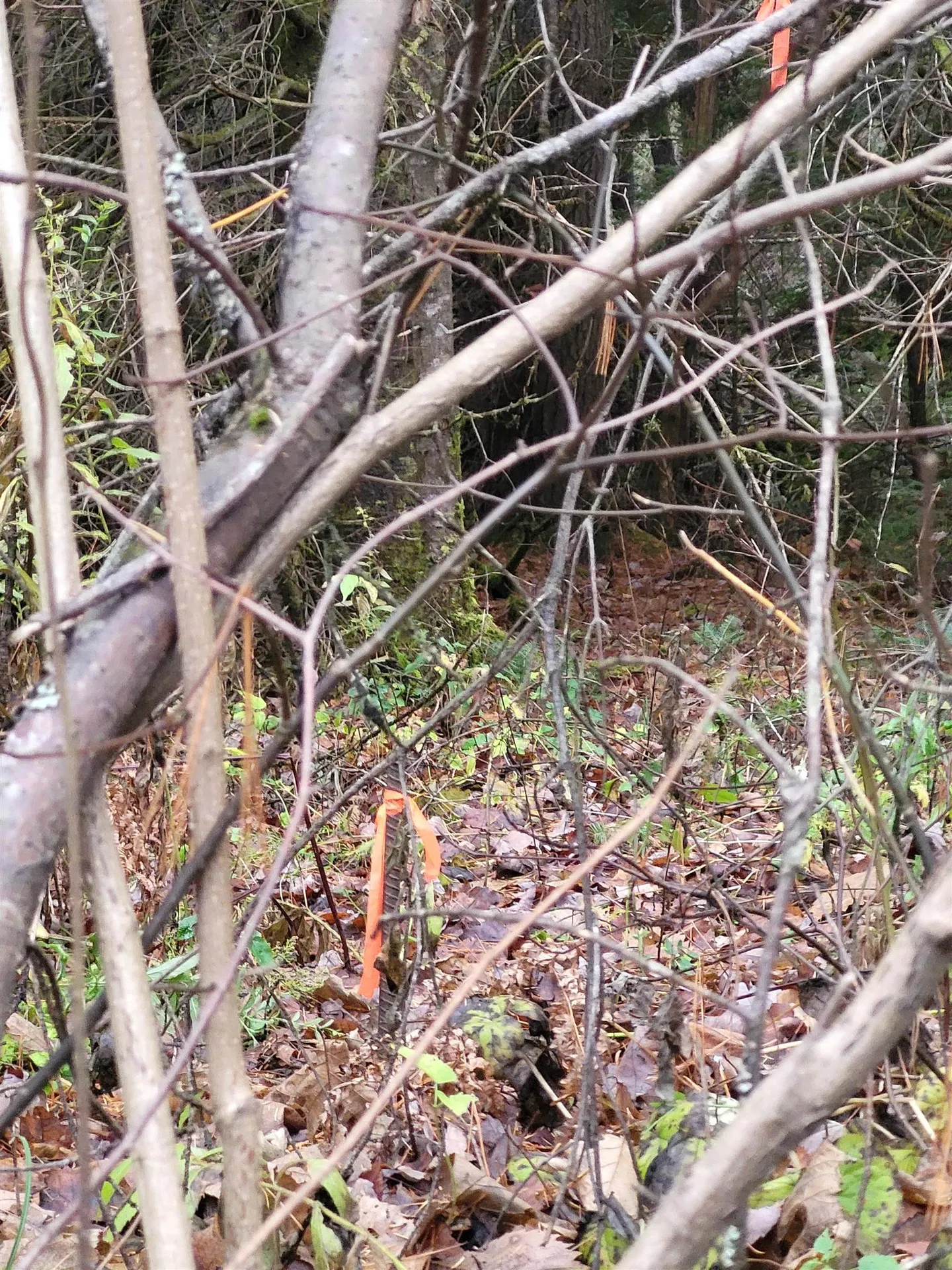 0 East Peacham Road Barnet VT 05821