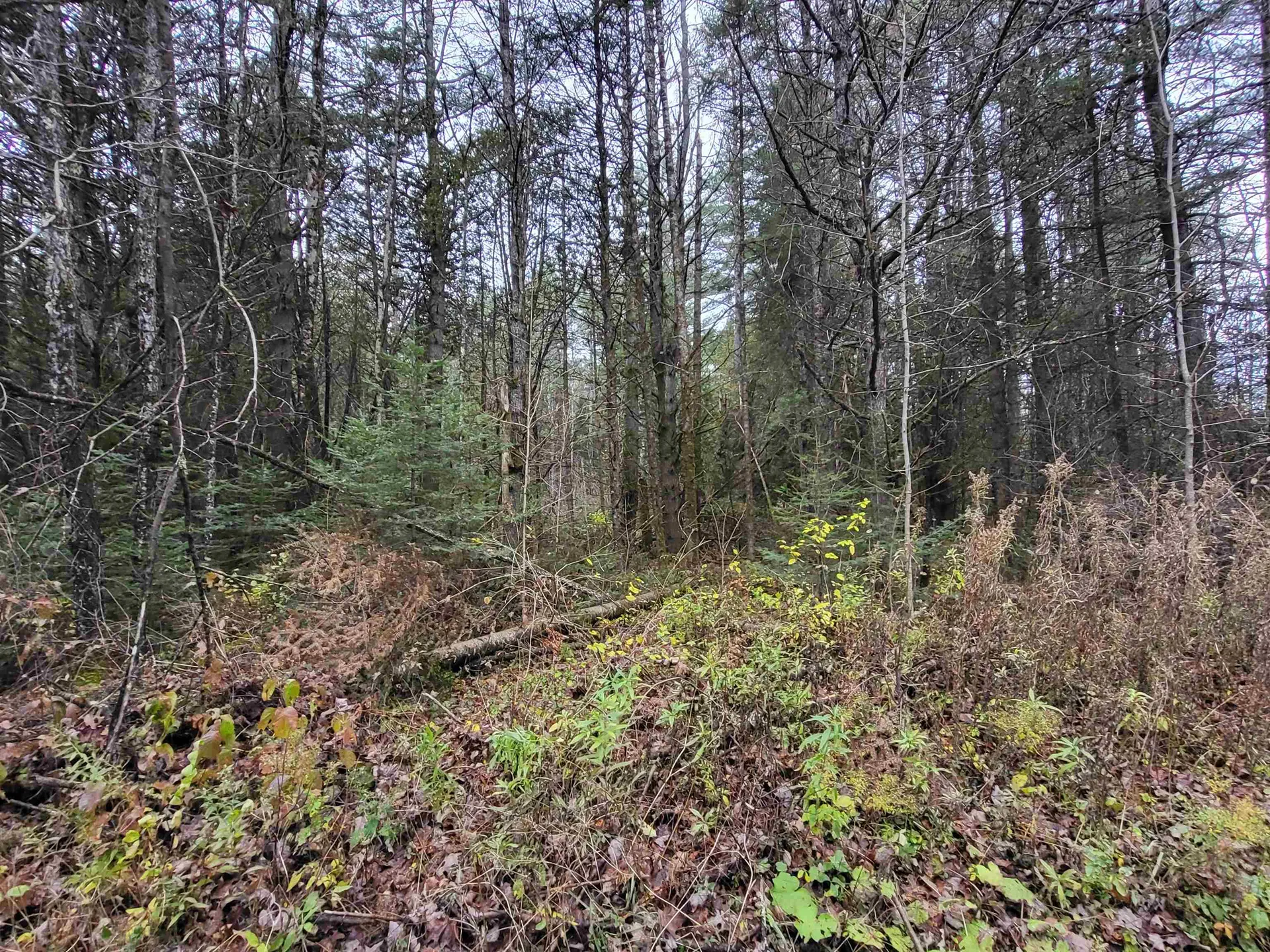 0 East Peacham Road Barnet VT 05821