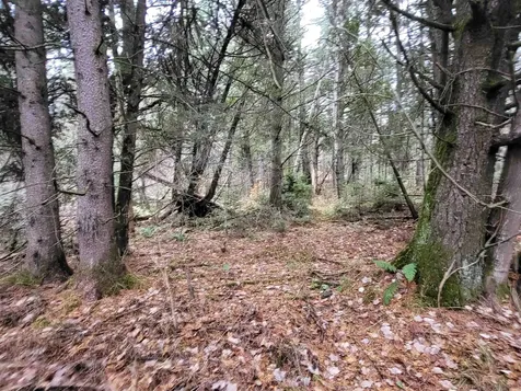 0 East Peacham Road Barnet VT 05821