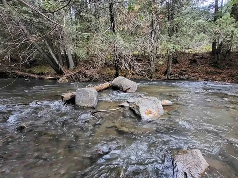 0 East Peacham Road Barnet VT 05821