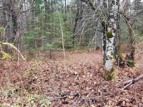 0 East Peacham Road Barnet VT 05821