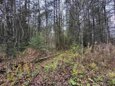 0 East Peacham Road Barnet VT 05821