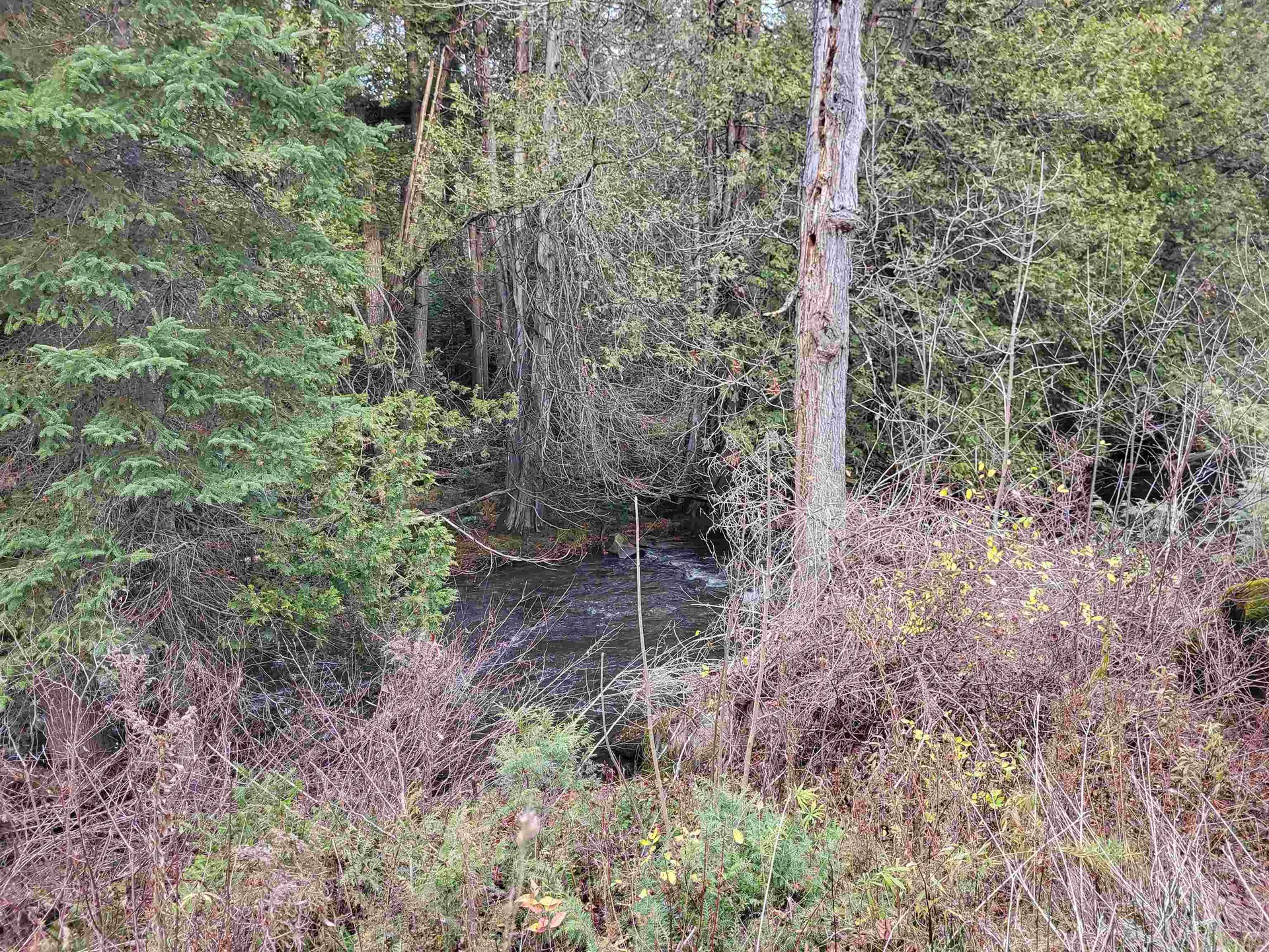 00 East Peacham Road Barnet VT 05821