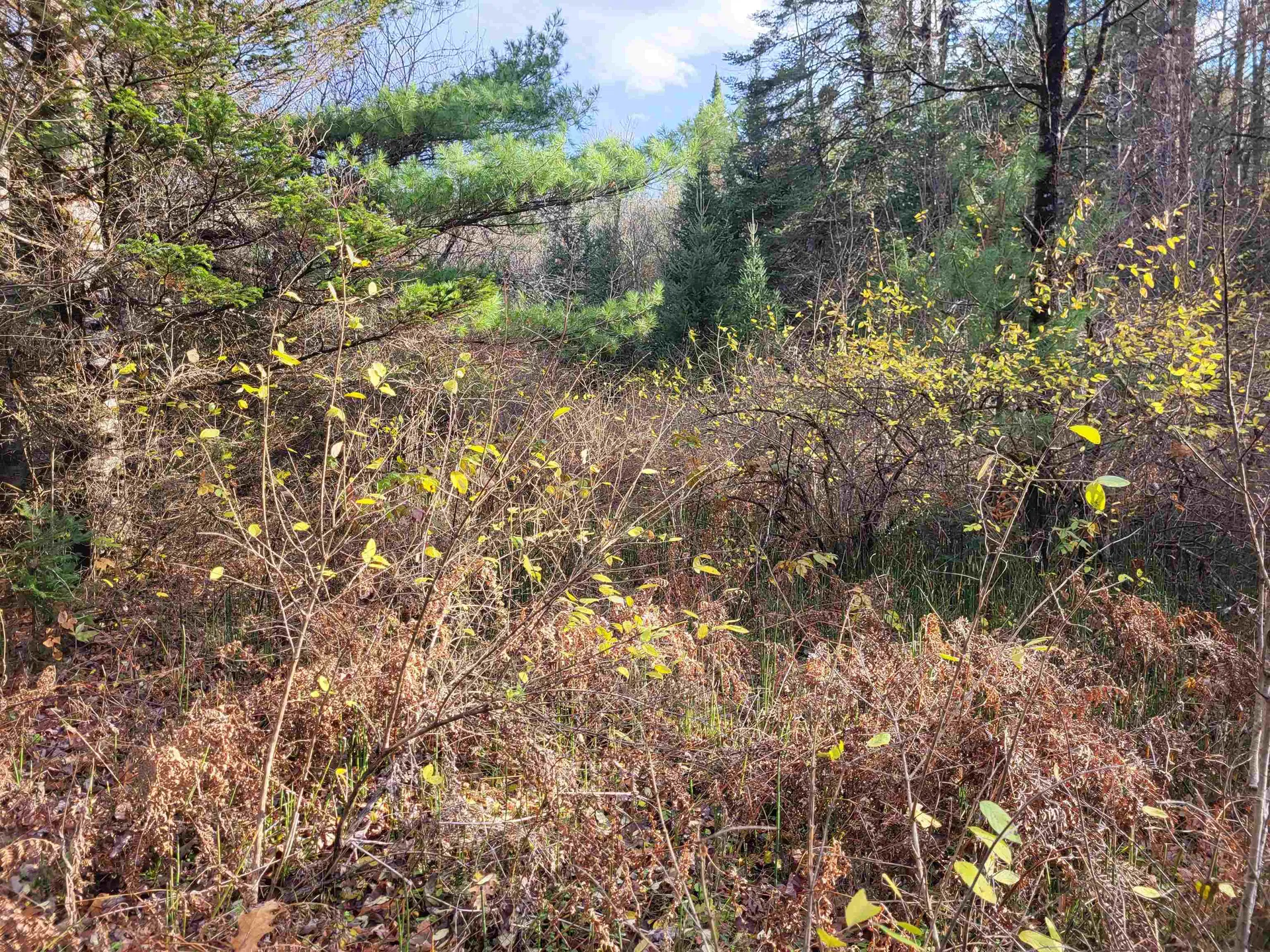 00 East Peacham Road Barnet VT 05821