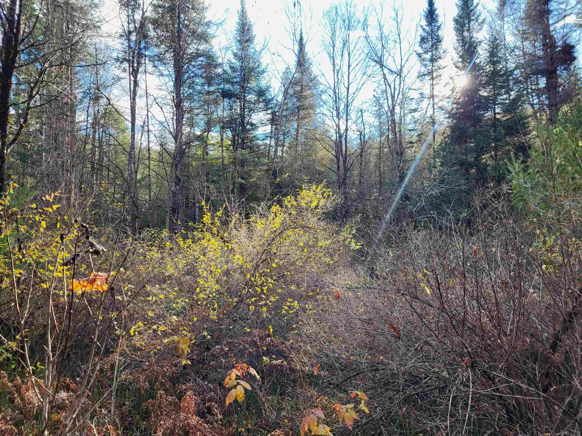 00 East Peacham Road Barnet VT 05821