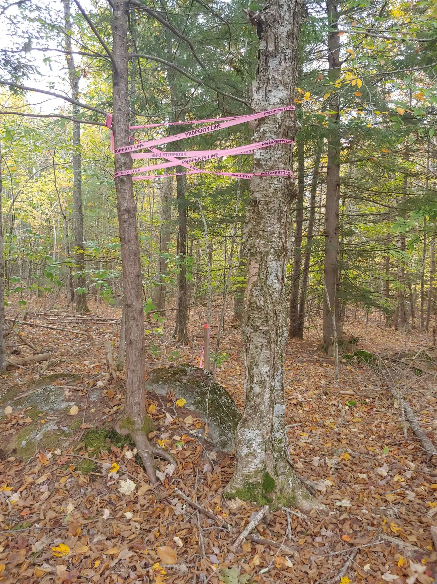 1042 Suncook Valley Road Barnstead NH 03225