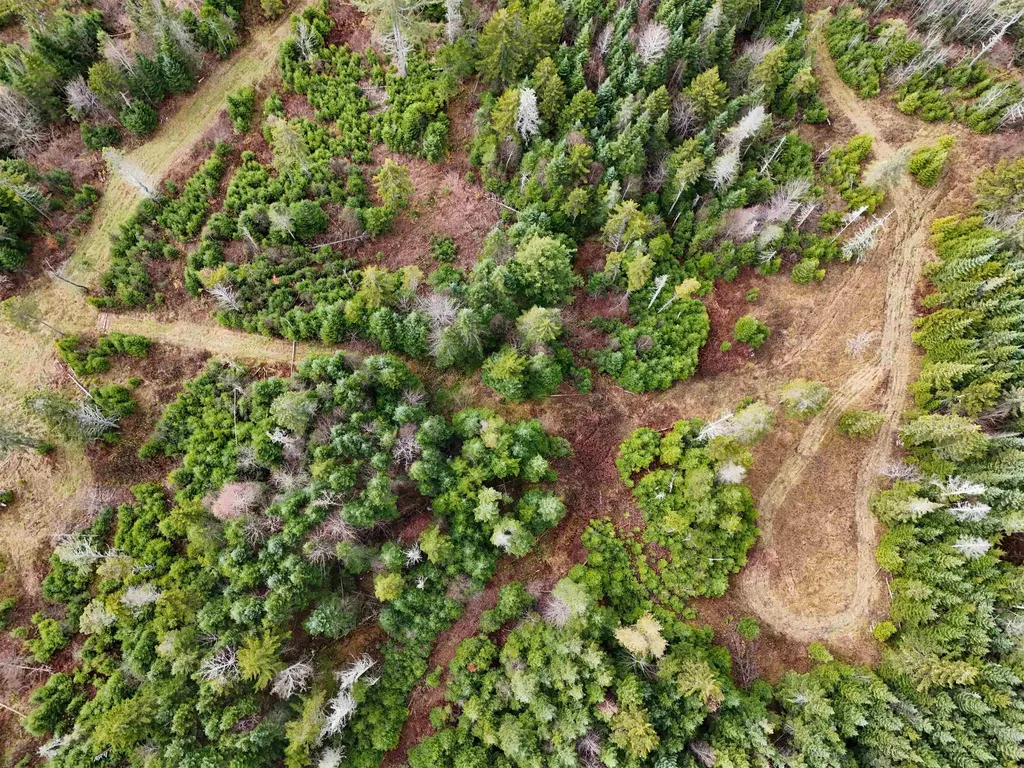 190 Victory Road Kirby VT 05819