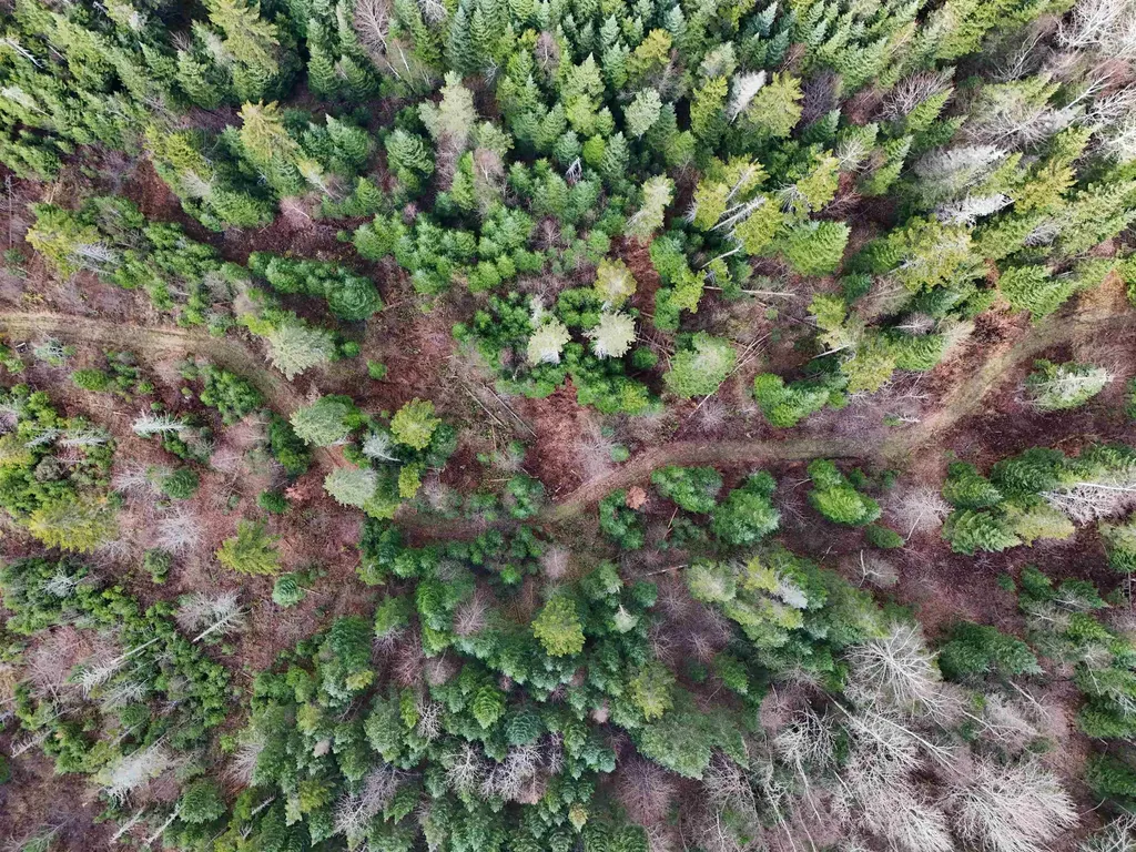 190 Victory Road Kirby VT 05819