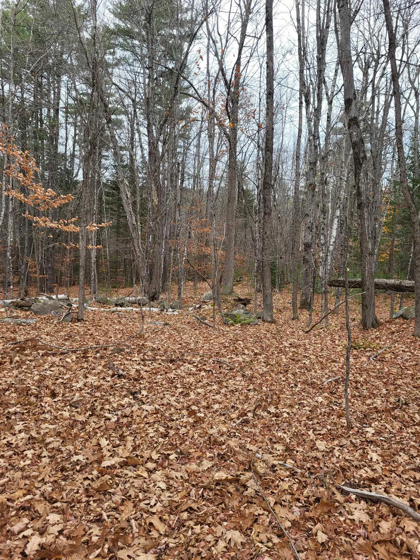 00 Rice Hill Road Freedom NH 03836