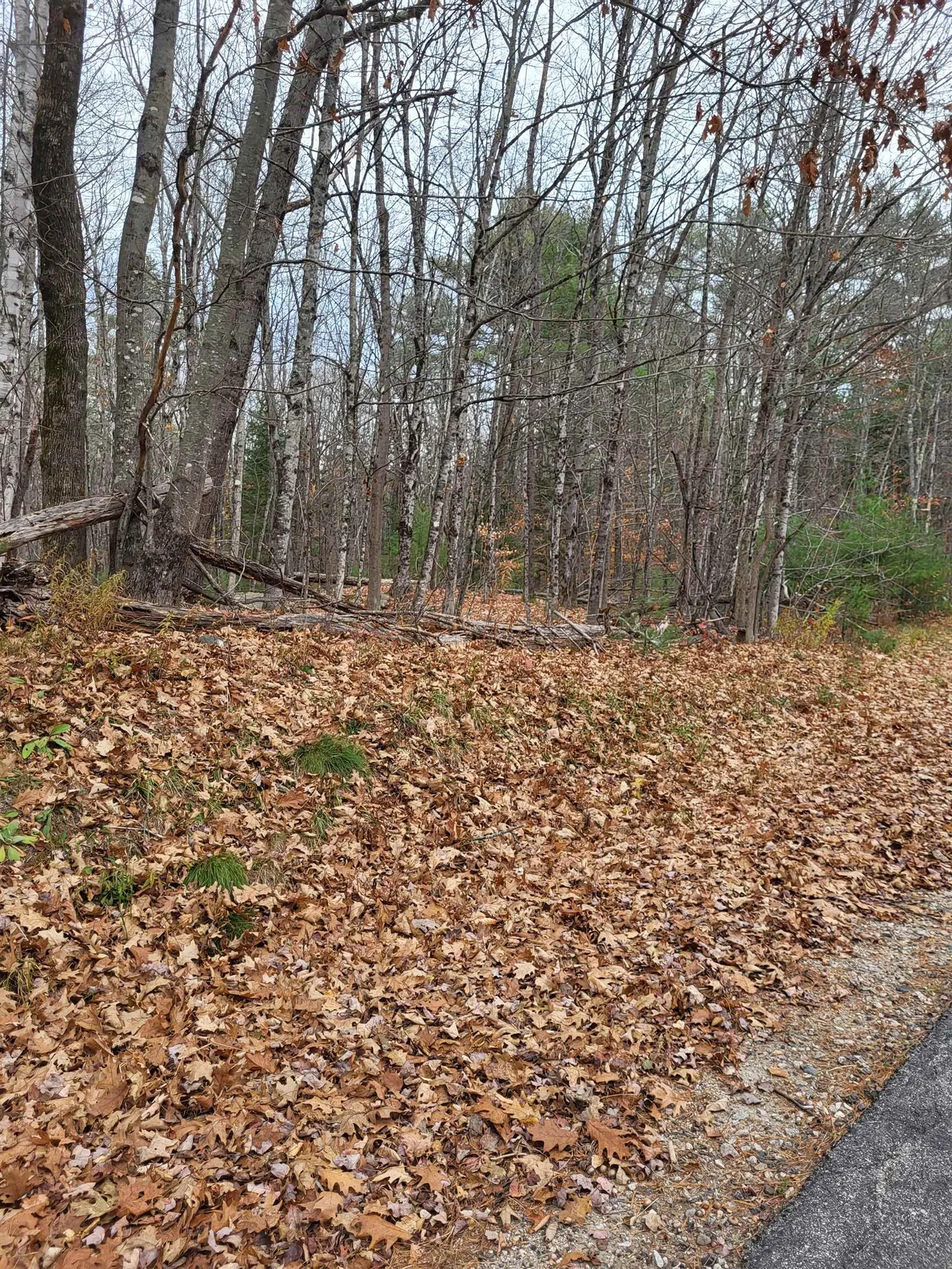 00 Rice Hill Road Freedom NH 03836